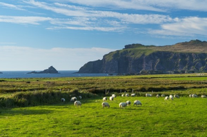 Rural life in Northern Ireland | NICRC